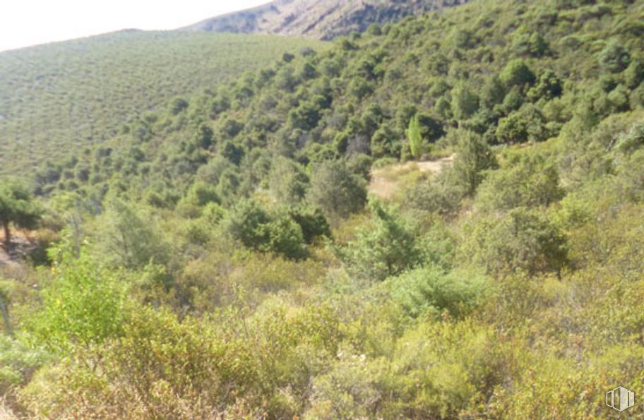 Land for sale at Calle Arroyo San Román, 36, Torremocha de Jarama, Madrid, 28189 with hat, plant, mountain, sky, natural environment, natural landscape, land lot, terrain, tree and grassland around