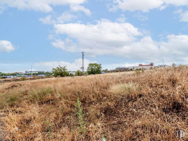 Land for sale at Calle Enero, 22, San Blas - Canillejas, Madrid, 28022 with cloud, plant, sky, natural landscape, land lot, plain, cumulus, grassland, landscape and tree around