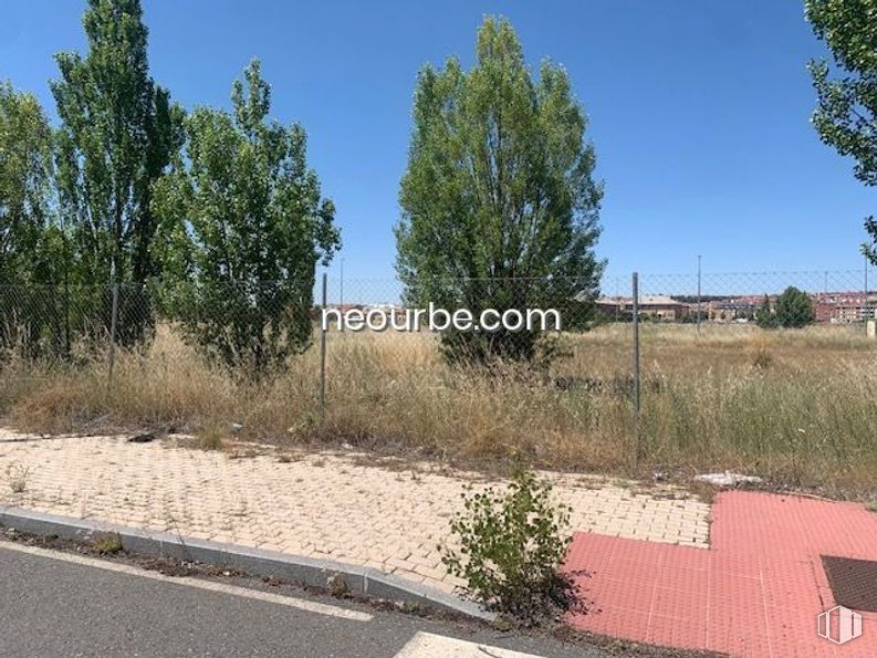 Land for sale at Calle Bartolomé de las Casas, Ávila, 05002 with plant, sky, plant community, ecoregion, land lot, road surface, tree, grass, asphalt and thoroughfare around