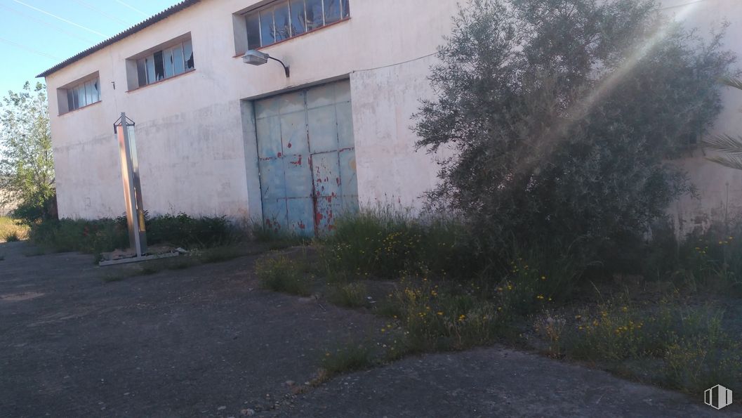 Industrial for sale at Camino San Martín Vega, Arganda del Rey, Madrid, 28500 with door, window, building, plant, sky, land lot, road surface, asphalt, vegetation and grass around