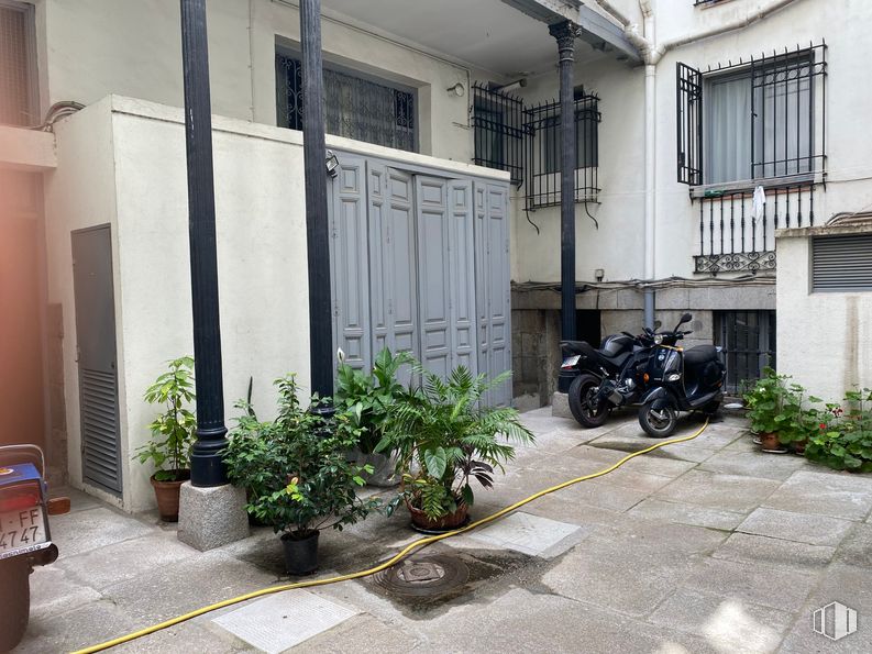 Retail for sale at Calle Felipe IV, Retiro, Madrid, 28014 with motorcycle, houseplant, window, plant, tire, wheel, building, flowerpot, vehicle and automotive tire around