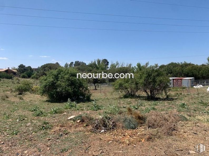 Land for sale at Casco urbano, Navalperal de Pinares, Ávila, 05240 with plant, sky, natural landscape, tree, land lot, groundcover, grass, landscape, shrub and grassland around