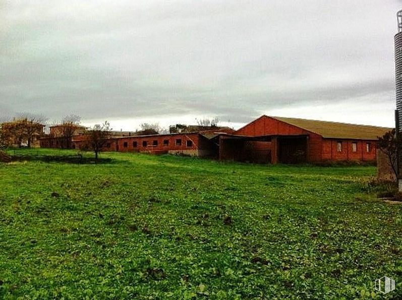 Land for sale at Domingo Pérez, Domingo Pérez, Toledo, 45544 with house, sky, plant, cloud, natural landscape, land lot, building, grass, tree and wood around