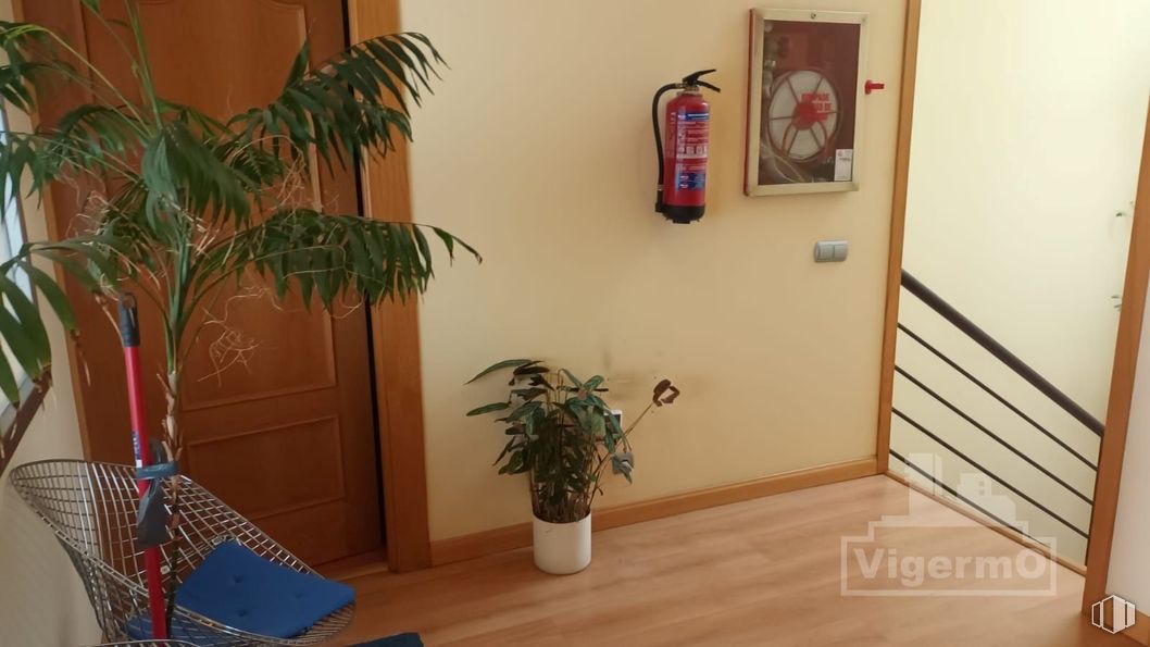 Industrial for rent at Calle Meridiano, Torrejón de Ardoz, Madrid, 28850 with houseplant, flooring, floor, wall, wood flooring, wood, interior design, laminate flooring, door and room around