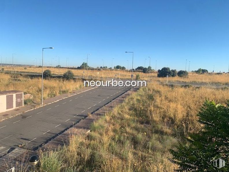 Land for sale at Calle Las Palmas de Gran Canaria, Ávila, 05004 with sky, plant, plant community, street light, ecoregion, natural landscape, land lot, tree, grass and overhead power line around