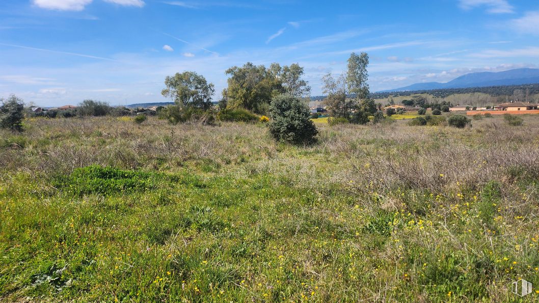 Land for sale at Zona Mirador de Fuente Romero, Hormigos, Toledo, 45919 with sky, cloud, plant, tree, natural landscape, grassland, grass, shrub, herbaceous plant and landscape around