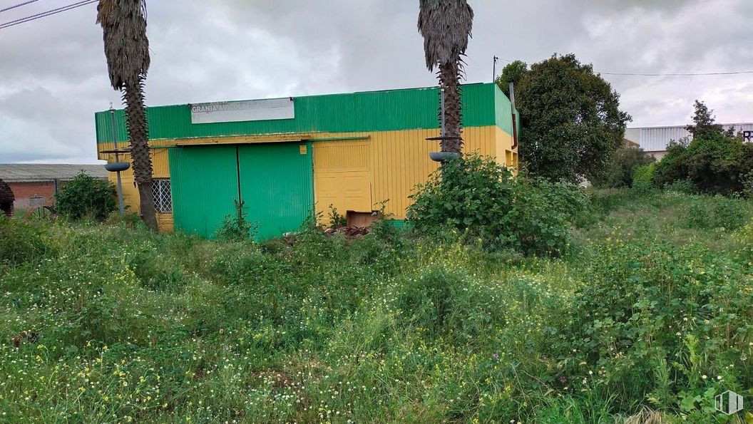 Industrial for sale at Carretera Valmojado, Cedillo del Condado, Toledo, 45214 with building, plant, cloud, sky, land lot, door, grass, residential area, landscape and window around