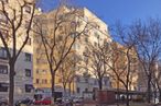 Office for rent at Calle Juan Bravo, 25, Salamanca, Madrid, 28006 with building, window, daytime, sky, tree, branch, twig, world, sunlight and neighbourhood around