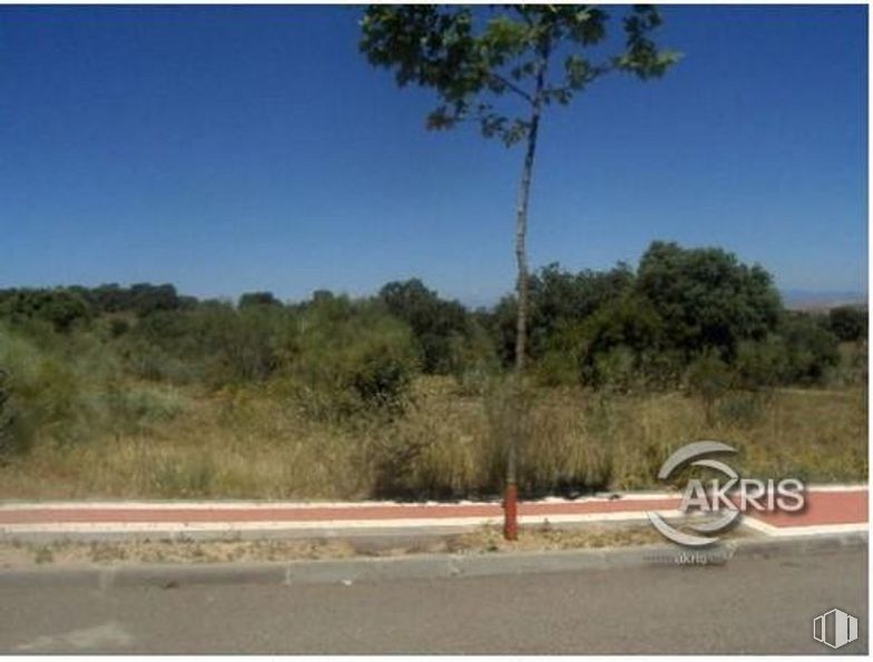 Land for sale at Avenida Montesión, Toledo, 45008 with tire, sky, plant, plant community, ecoregion, cloud, natural environment, asphalt, natural landscape and land lot around