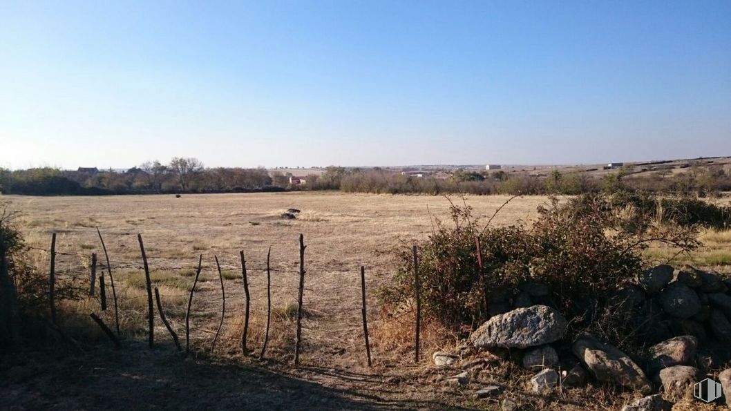 Land for sale at Zona Torrecaballeros, Torrecaballeros, Segovia, 40160 with sky, plant, vertebrate, natural landscape, fence, land lot, tree, wood, plain and grassland around