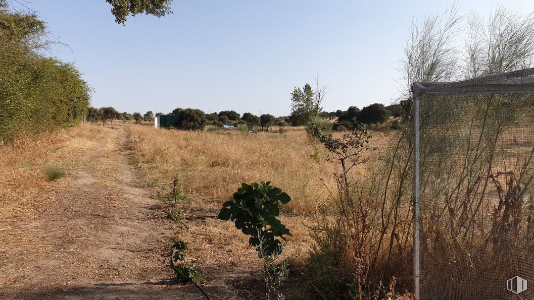 Land for sale at Zona Escalona, Escalona, Toledo, 45910 with plant, sky, plant community, natural landscape, tree, land lot, landscape, grassland, shrub and grass around