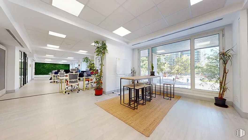 Oficina en alquiler en Paseo Castellana, Chamartín, Madrid, 28046 con planta de interior, mesa de cocina y comedor, mesa, planta, edificio, mueble, propiedad, maceta, silla y interiorismo alrededor