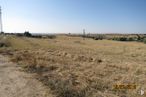 Land for sale at Urbanización La Platera, Navalcarnero, Madrid, 28600 with sky, plant, natural landscape, tree, land lot, grass, grassland, landscape, horizon and overhead power line around