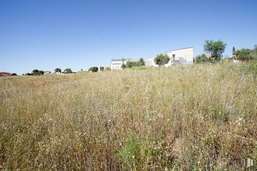 Suelo en venta en Camino Fuente Cordel, Argés, Toledo, 45122 con casa, cielo, planta, comunidad de plantas, ecorregión, edificio, paisaje natural, terreno, árbol y hierba alrededor