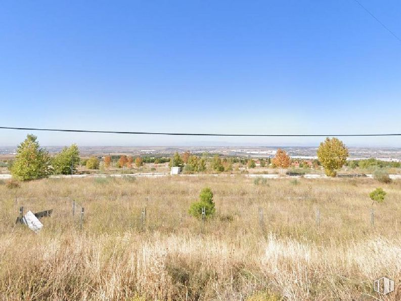 Land for sale at Las Llanas, Chiloeches, Guadalajara, 19160 with animal, sky, plant, natural landscape, land lot, landscape, plain, horizon, rural area and grassland around