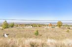 Land for sale at Las Llanas, Chiloeches, Guadalajara, 19160 with animal, sky, plant, natural landscape, land lot, landscape, plain, horizon, rural area and grassland around