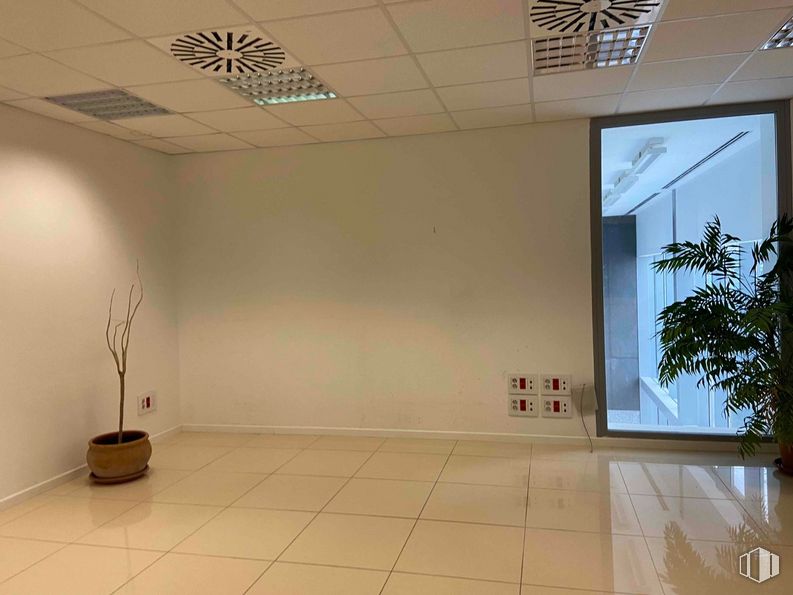 Industrial for sale & for rent at Zona Colmenar Viejo, Colmenar Viejo, Madrid, 28770 with houseplant, flowerpot, light fixture, property, interior design, architecture, flooring, art, floor and plant around