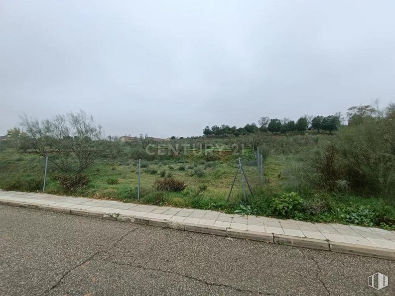 Land for sale at Zona campo de golf, Cabanillas del Campo, Guadalajara, 19171 with sky, plant, cloud, road surface, asphalt, tree, natural landscape, thoroughfare, plain and road around