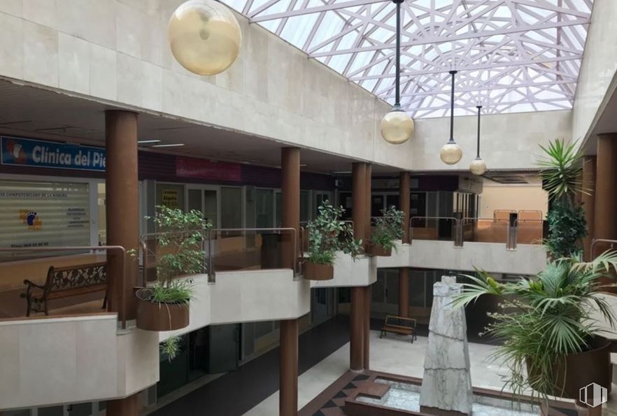 Retail for sale & for rent at Avenida Castilla La Mancha, 14, Cuenca, 16003 with lighting, houseplant, plant, flowerpot, building, botany, interior design, urban design, real estate and facade around