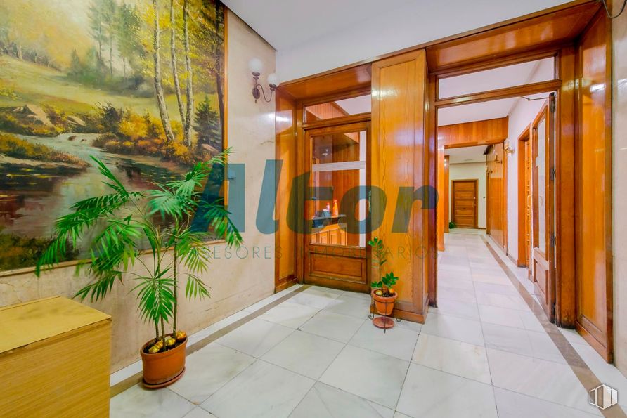 Local en venta en Zona Fuente del Berro, Salamanca, Madrid, 28028 con maceta, planta de interior, mueble, suelo, suelos, interiorismo, puerta, techo, apartamento y tinte para madera alrededor