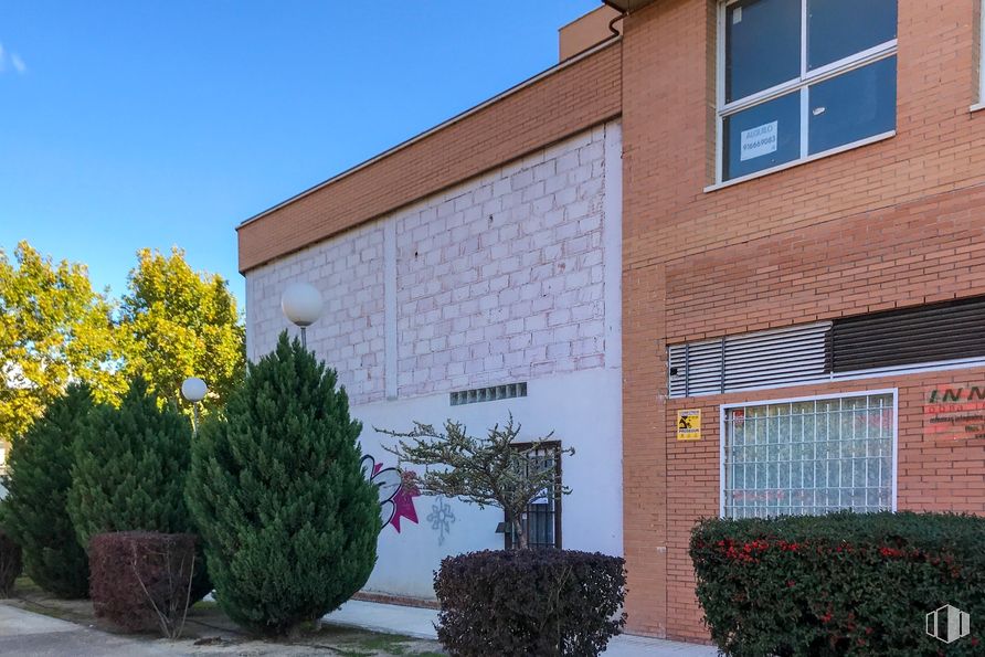 Local en alquiler en Avenida Velázquez, 4, Rivas-Vaciamadrid, Madrid, 28521 con ventana, maceta, planta, edificio, cielo, superficie de carretera, área residencial, sombra, hierba y barrio alrededor