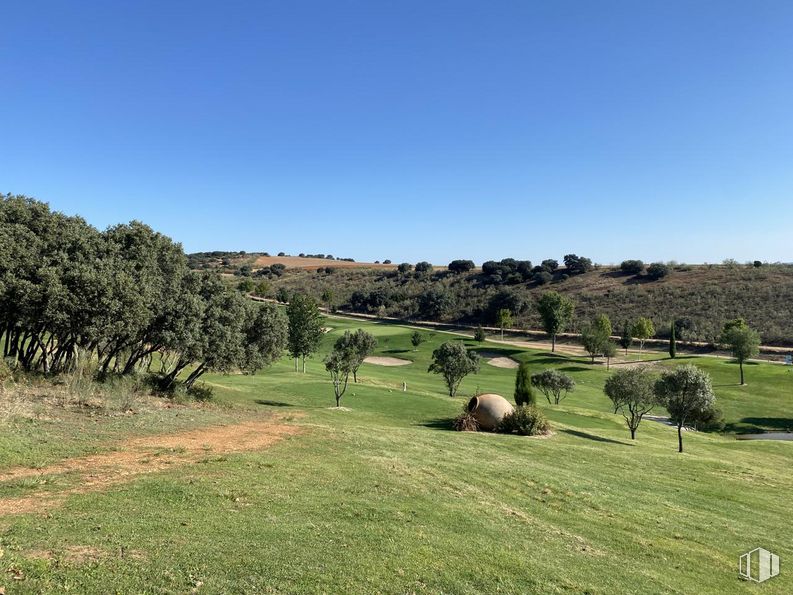 Suelo en venta en Campo de Golf Green Sire Golf, Cabanillas del Campo, Guadalajara, 19171 con animal, cielo, planta, árbol, paisaje natural, hierba, paisaje, pradera, arbusto y pradera alrededor