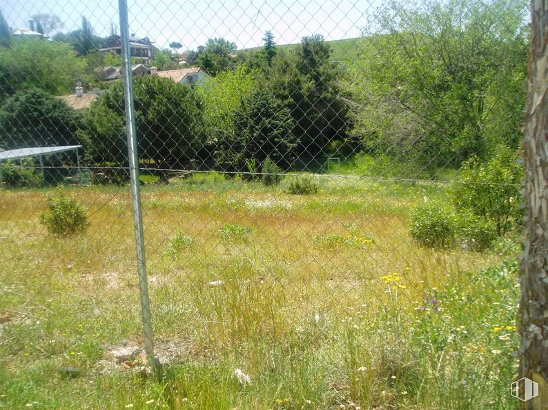 Suelo en venta en Avenida Varsovia, 60, El Casar, Guadalajara, 19170 con planta, cielo, paisaje natural, ventana, lote de terreno, árbol, arbusto, cubierta vegetal, alambrada y pradera alrededor