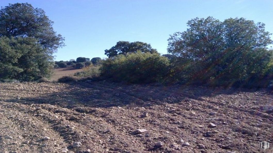 Land for sale at Urbanización El Clavín, Guadalajara, 19163 with sky, plant, natural landscape, tree, grass, slope, grassland, road, landscape and hill around