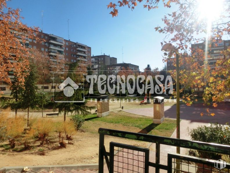 Retail for rent at Zona Soto, Móstoles, Madrid, 28047 with building, plant, sky, property, leaf, tree, architecture, land lot, urban design and public space around