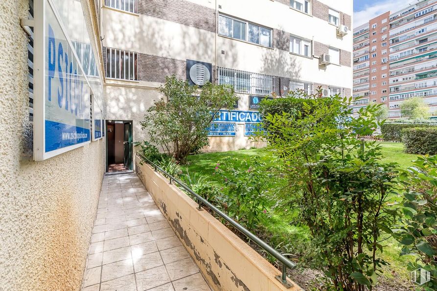 Local en alquiler en Avenida Betanzos, Fuencarral - El Pardo, Madrid, 28034 con ventana, edificio, planta, diseño urbano, superficie de la carretera, cubierta vegetal, fachada, carretera, ciudad y arbusto alrededor