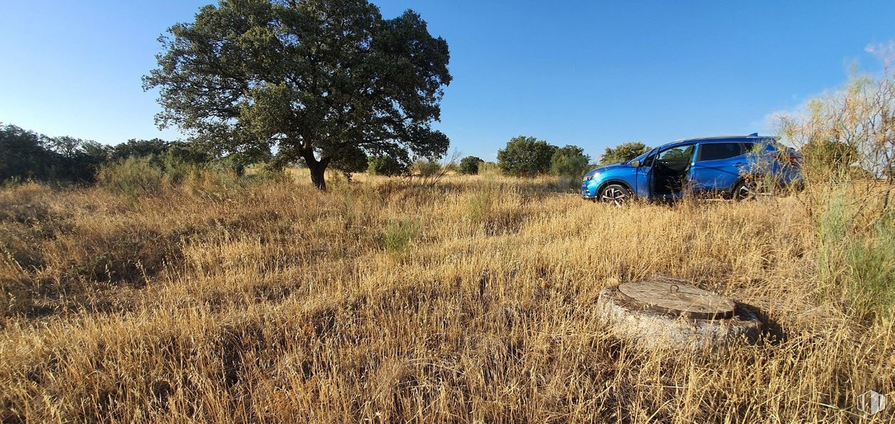 Land for sale at Urbanización Sector 1, Hormigos, Toledo, 45919 with car, sky, tire, plant, wheel, vehicle, plant community, cloud, tree and automotive tire around