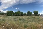 Land for sale at Calle Morse, 23, Getafe, Madrid, 28906 with cloud, sky, plant, tree, natural landscape, grass, cumulus, plain, landscape and grassland around