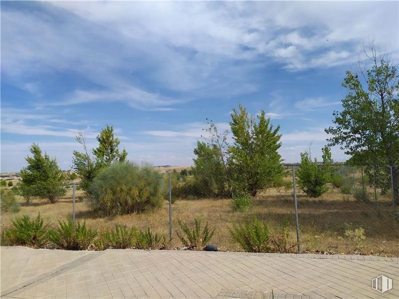 Land for sale at Calle Valdearenal Sur, 16, Arroyomolinos, Madrid, 28939 with cloud, sky, plant, plant community, natural landscape, plain, road surface, grass, grassland and tree around