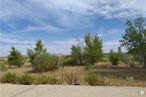 Land for sale at Calle Valdearenal Sur, 16, Arroyomolinos, Madrid, 28939 with cloud, sky, plant, plant community, natural landscape, plain, road surface, grass, grassland and tree around