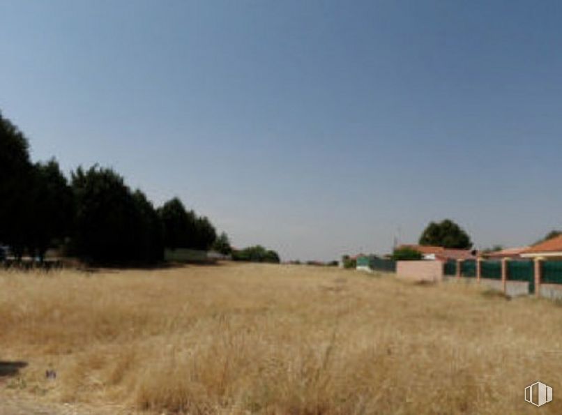 Suelo en venta en Urbanización Torrejoncillo Higos, Ugena, Toledo, 45217 con animal, cielo, planta, paisaje natural, lote de tierra, árbol, hierba, pastizal, llanura y horizonte alrededor