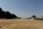 Land for sale at Urbanización Torrejoncillo Higos, Ugena, Toledo, 45217 with animal, sky, plant, natural landscape, land lot, tree, grass, grassland, plain and horizon around