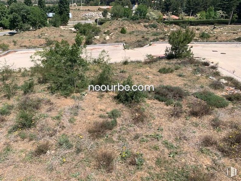 Land for sale at Casco urbano, Navalperal de Pinares, Ávila, 05240 with plant, plant community, natural landscape, tree, land lot, grass, groundcover, shrub, landscape and grass family around