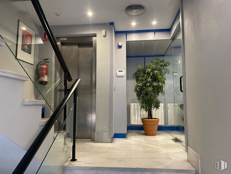 Oficina en alquiler en Calle Santa Hortensia, 48, Chamartín, Madrid, 28002 con planta de interior, maceta, planta, propiedad, edificio, accesorio, alumbrado, puerta, diseño de interiores y piso alrededor