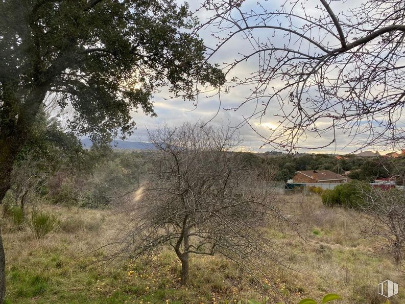 Suelo en venta en Calle Pinto, Ituero y Lama, Segovia, 40151 con casa, planta, nube, cielo, paisaje natural, árbol, ramita, maletero, llano y paisaje alrededor