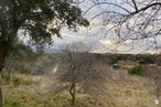 Land for sale at Calle Pinto, Ituero y Lama, Segovia, 40151 with house, plant, cloud, sky, natural landscape, tree, twig, trunk, plain and landscape around