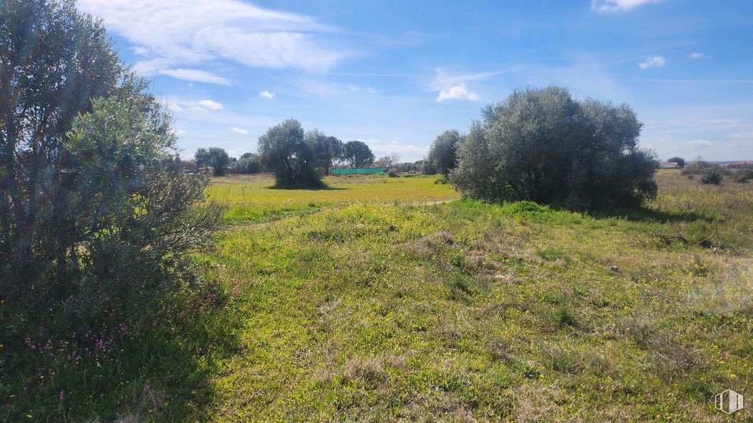 Land for sale at Zona Mirador de Fuente Romero, Hormigos, Toledo, 45919 with cloud, sky, plant, natural landscape, tree, grass, landscape, grassland, groundcover and meadow around