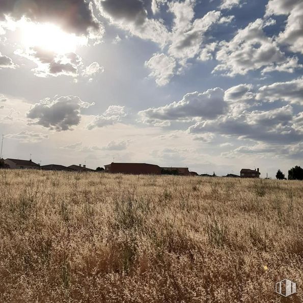 Land for sale & for rent at Carretera Extremadura, Quismondo, Toledo, 45514 with cloud, sky, atmosphere, plant, natural landscape, cumulus, grass, grassland, agriculture and landscape around