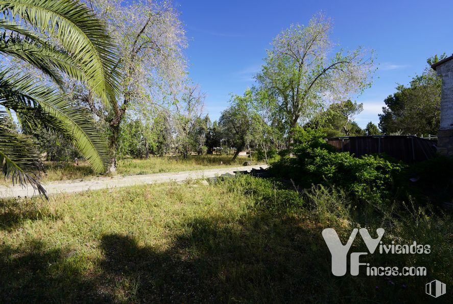 Suelo en venta en Zona polígono industrial Arboledas, Illescas, Toledo, 45200 con planta, cielo, comunidad vegetal, paisaje natural, árbol, lote de terreno, planta terrestre, arbusto, sombra y hierba alrededor