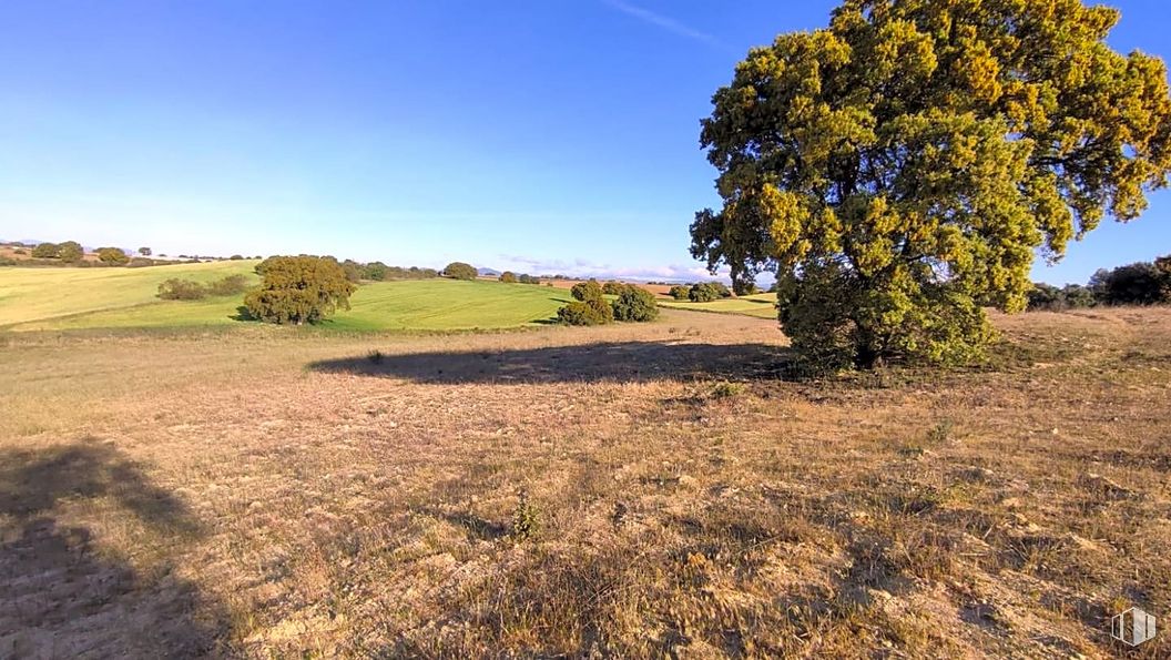 Suelo en venta en Zona La Cortanilla, Villamantilla, Madrid, 28610 con cielo, planta, ecorregión, nube, paisaje natural, vegetación, árbol, agricultura, hierba y planta leñosa alrededor