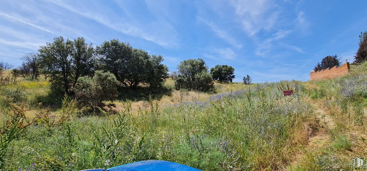 Land for sale at Zona N-403a, Escalona, Toledo, 45910 with cloud, plant, sky, natural landscape, azure, land lot, tree, grass, grassland and shrub around