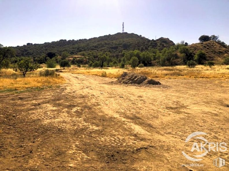 Land for sale at Zona de nueva urbanización, Chiloeches, Guadalajara, 19160 with sky, plant, plant community, natural landscape, tree, cloud, land lot, grass, grassland and slope around