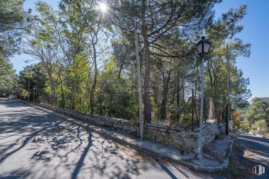 Land for sale at Calle Pino, Las Navas del Marqués, Ávila, 05239 with sky, plant, road surface, natural environment, tree, asphalt, branch, wood, vegetation and trunk around