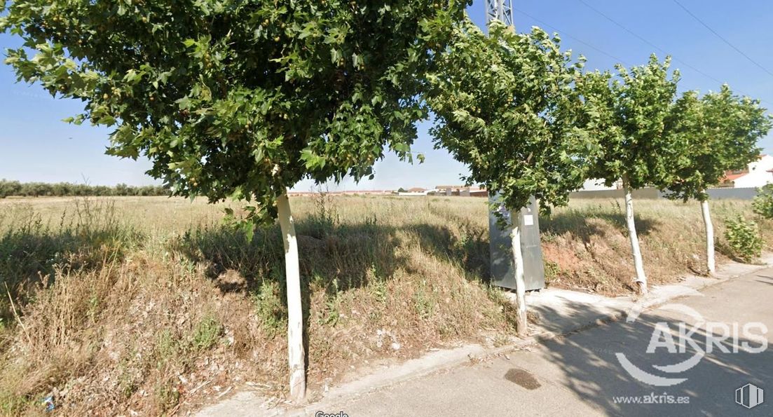 Suelo en venta en Calle San Sebastián, Chozas de Canales, Toledo, 45960 con planta, cielo, árbol, lote de terreno, paisaje, arbusto, suelo, carretera, hierba y agricultura alrededor