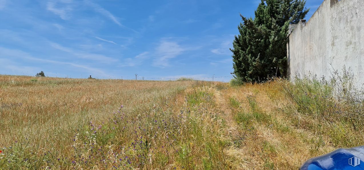 Land for sale at Zona N-403a, Escalona, Toledo, 45910 with cloud, plant, sky, natural landscape, land lot, plain, grassland, landscape, meadow and tree around