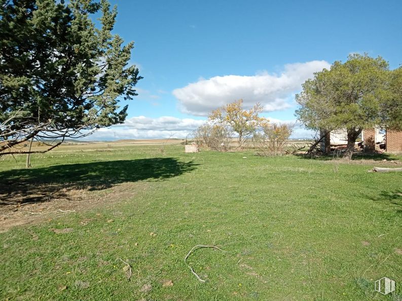 Land for sale at Calle Valdenuño, Galápagos, Guadalajara, 19174 with cloud, sky, plant, plant community, natural landscape, tree, land lot, plain, grassland and landscape around